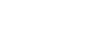 Logo - Bicame Labs